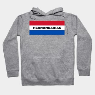 Hernandarias City in Paraguay Flag Hoodie